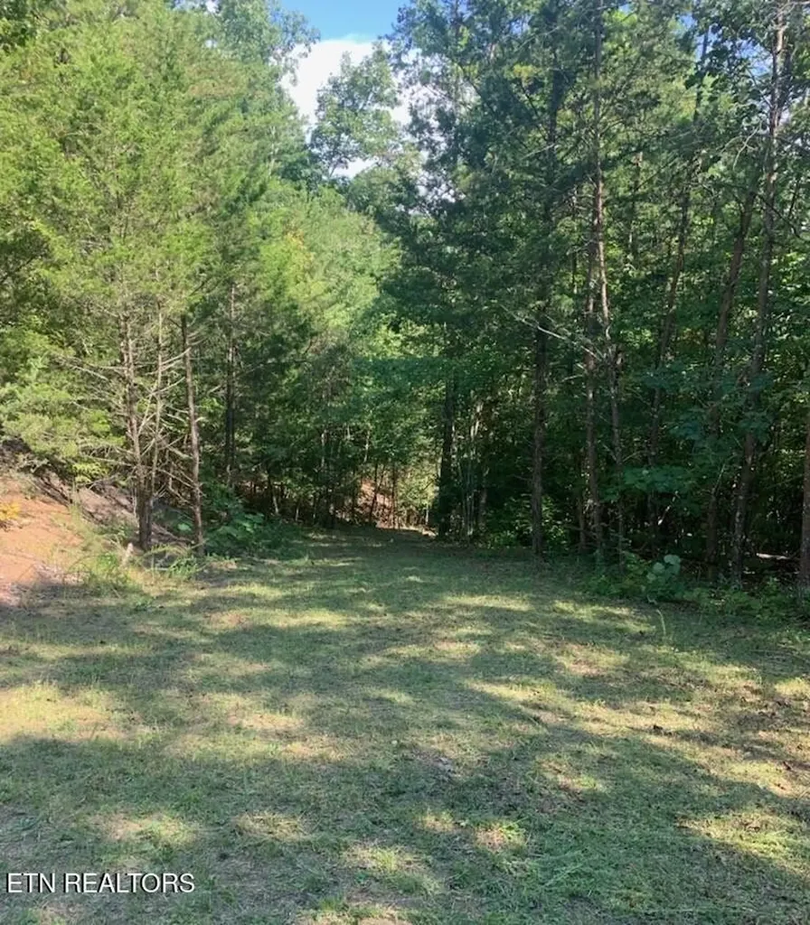 0 Vera Lane Dandridge TN 37725