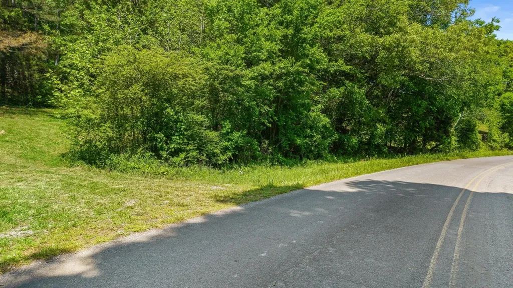 0 County Road 62 Riceville TN 37370