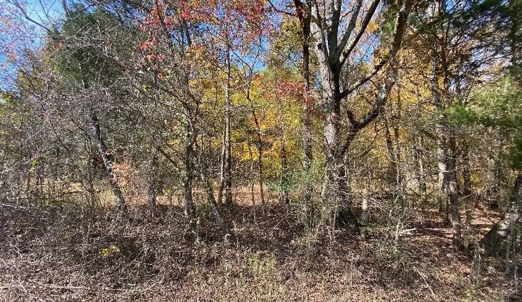 0 County Road 62 Riceville TN 37370