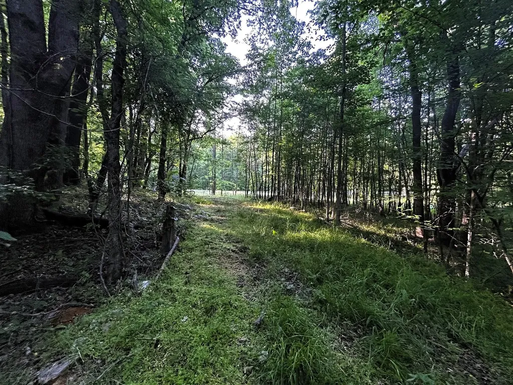 9 Pleasant Hill Road Ten Mile TN 37880