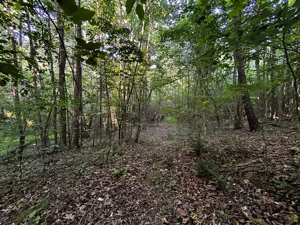 9 Pleasant Hill Road Ten Mile TN 37880