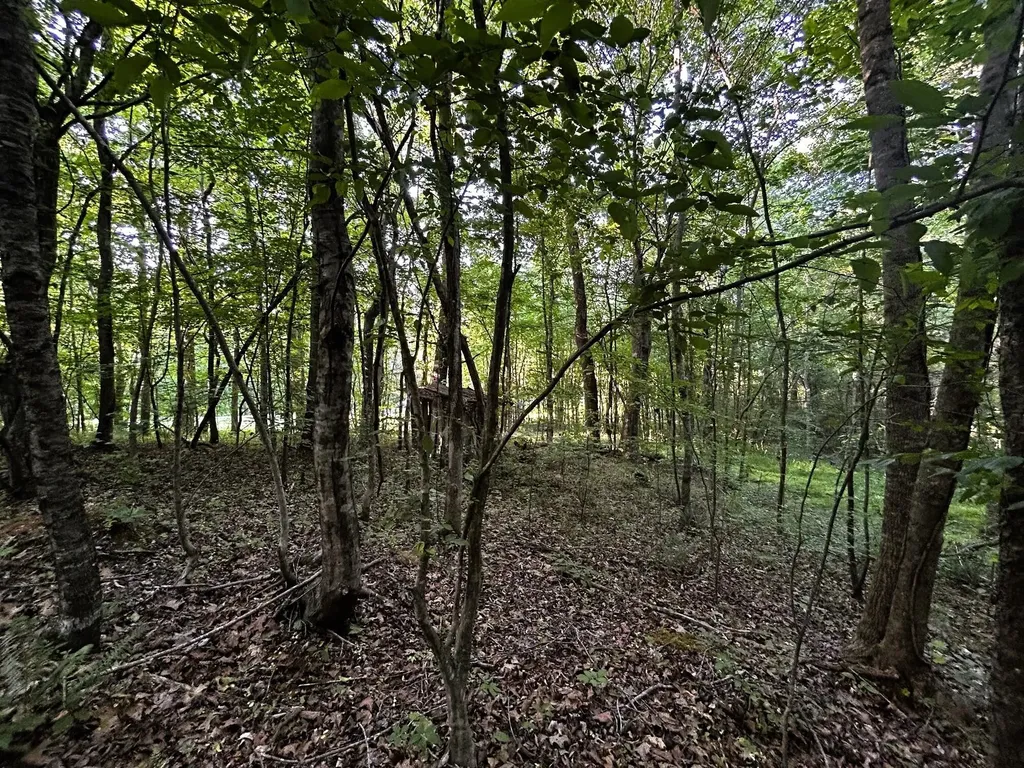 9 Pleasant Hill Road Ten Mile TN 37880