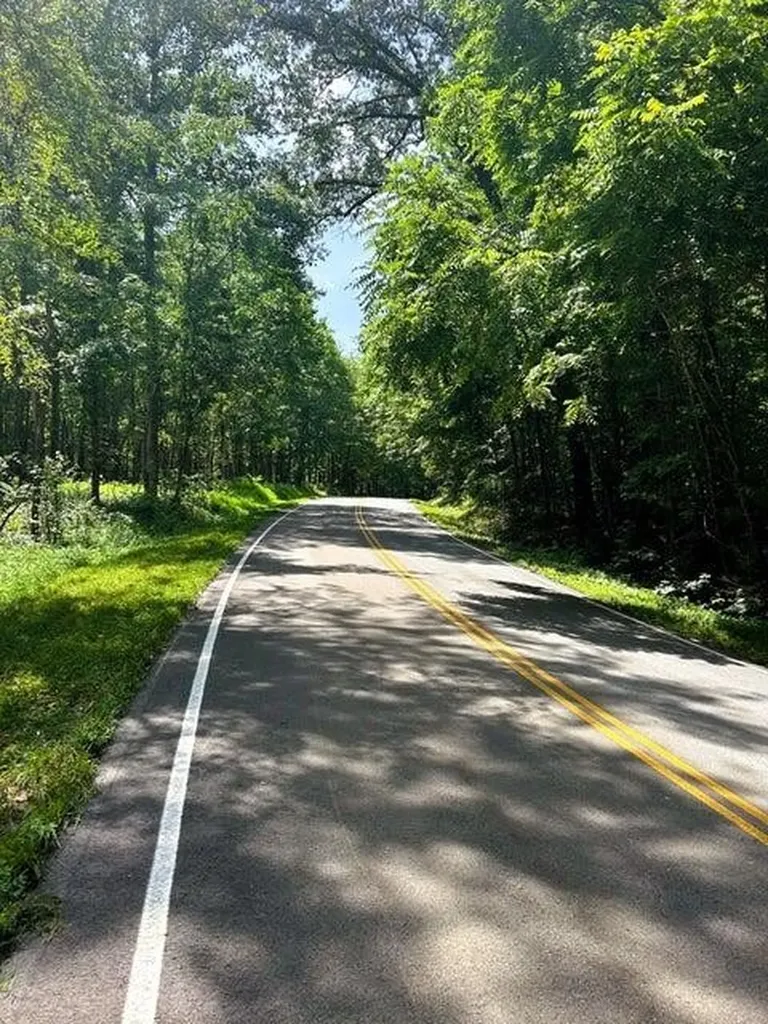 9 Pleasant Hill Road Ten Mile TN 37880