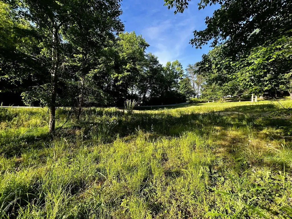 10 Pleasant Hill Road Ten Mile TN 37880