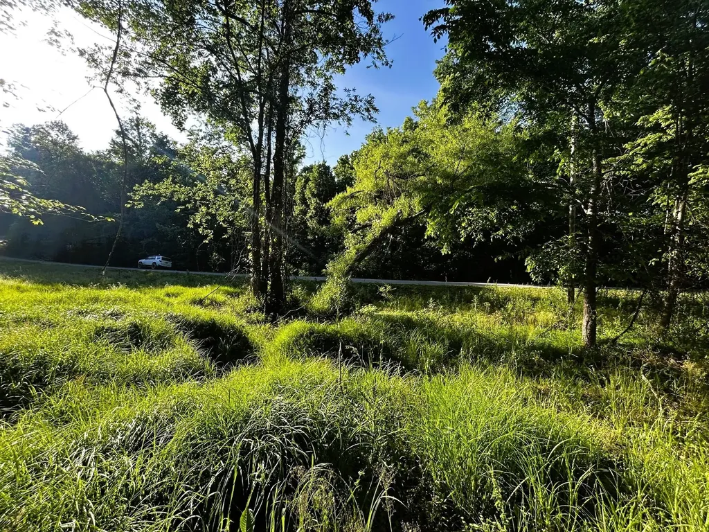 10 Pleasant Hill Road Ten Mile TN 37880