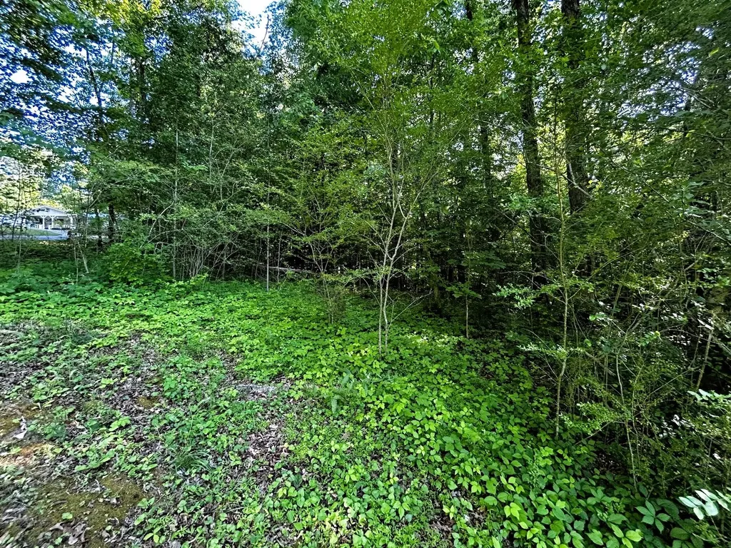 10 Pleasant Hill Road Ten Mile TN 37880
