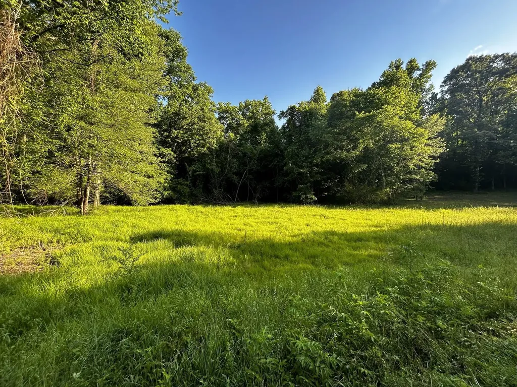 10 Pleasant Hill Road Ten Mile TN 37880