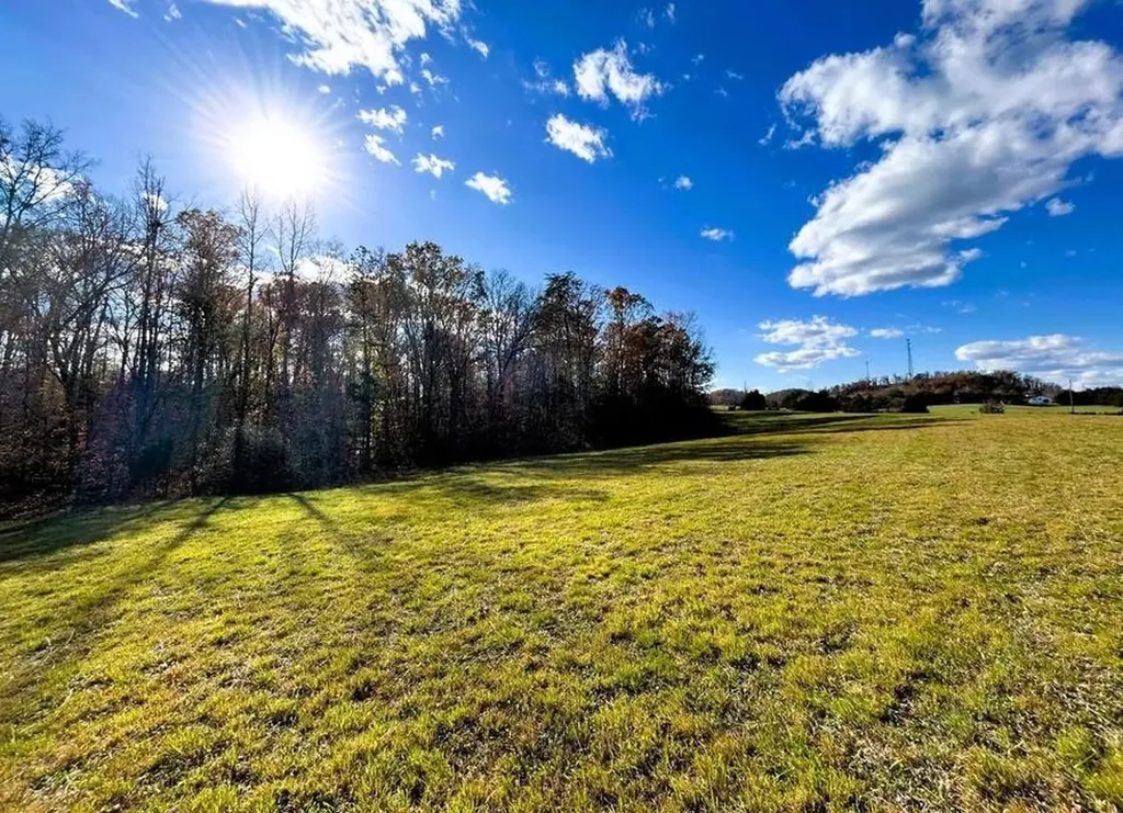8509 Tennessee 68 Tellico Plains TN 37385