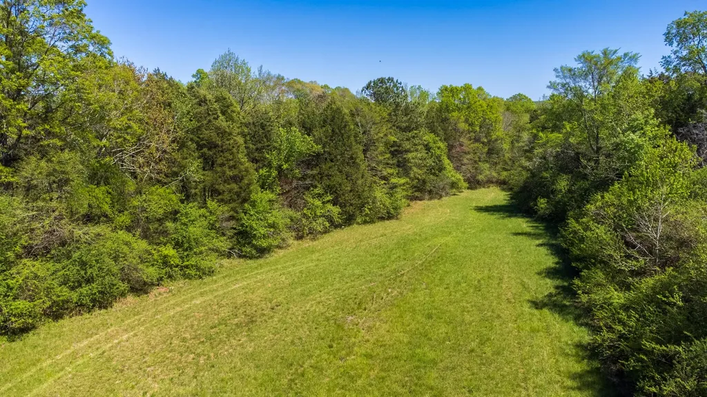 8509 Tennessee 68 Tellico Plains TN 37385