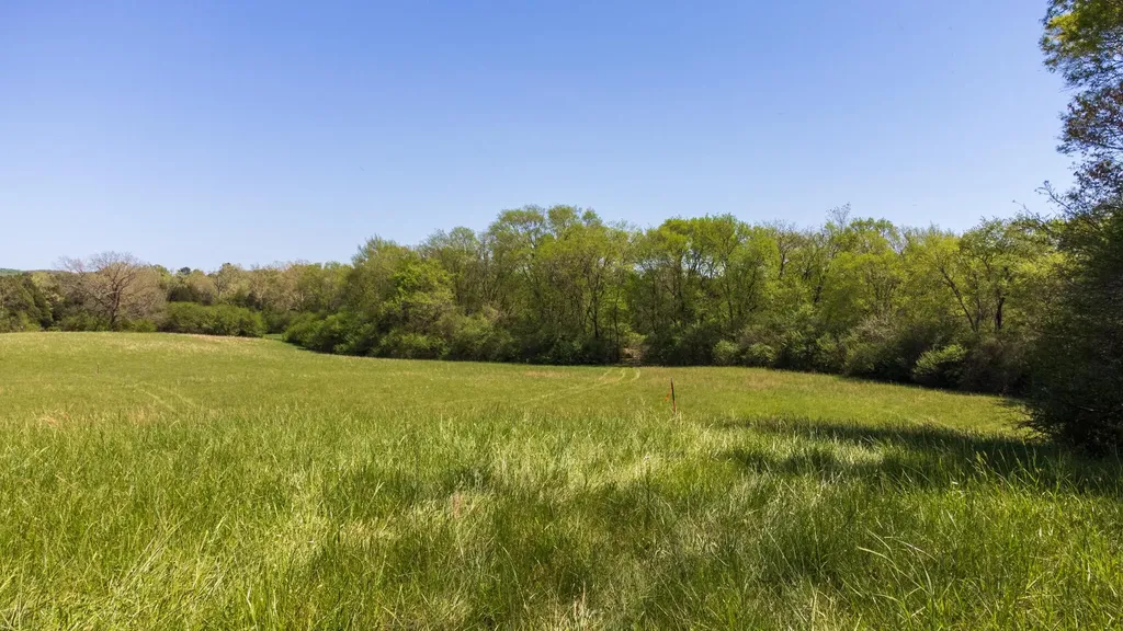 8509 Tennessee 68 Tellico Plains TN 37385