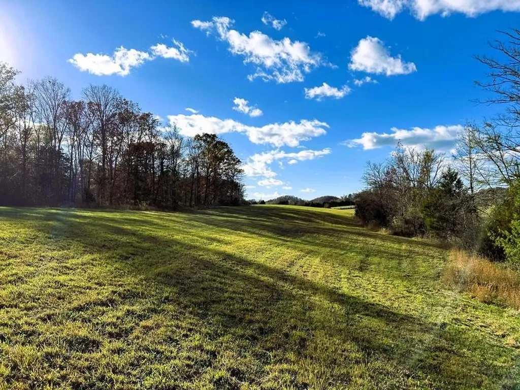 8509 Tennessee 68 Tellico Plains TN 37385