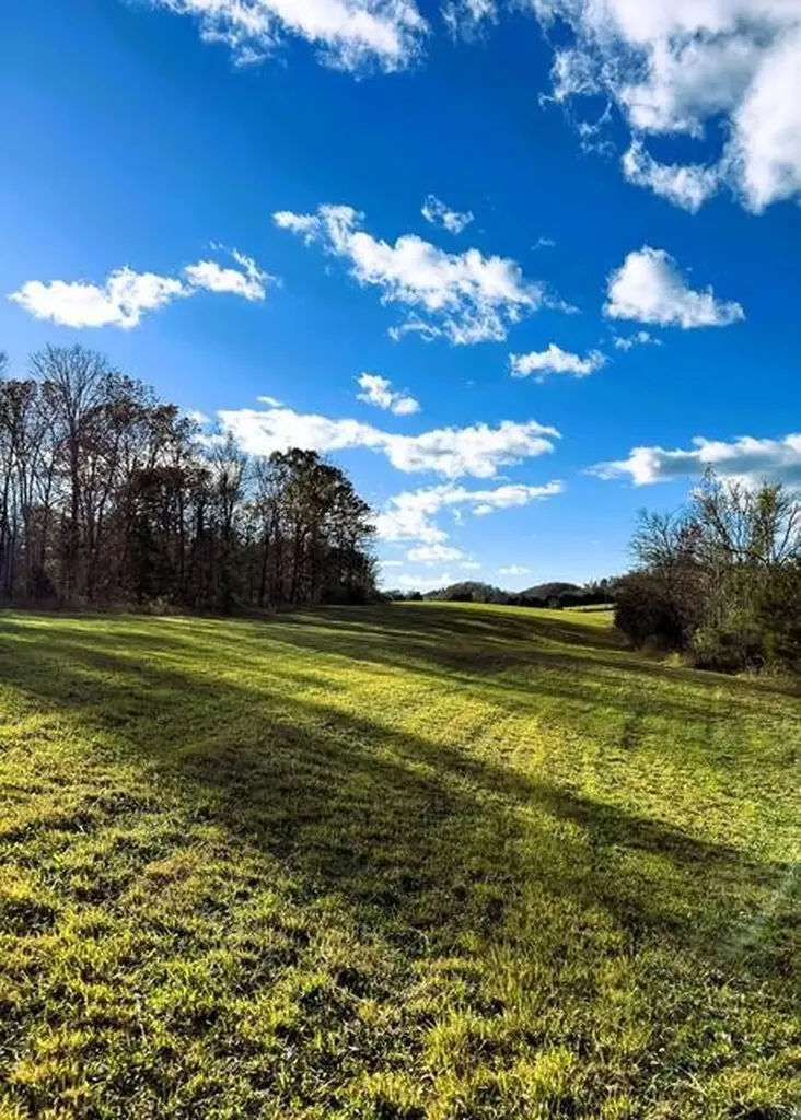 8509 Tennessee 68 Tellico Plains TN 37385
