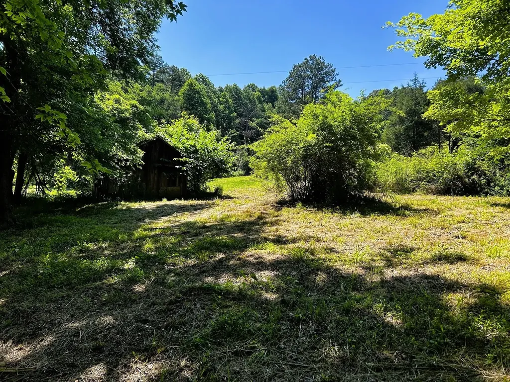 1060 County Road 130 Riceville TN 37370