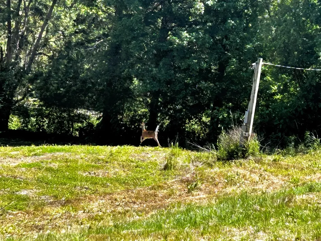 1060 County Road 130 Riceville TN 37370