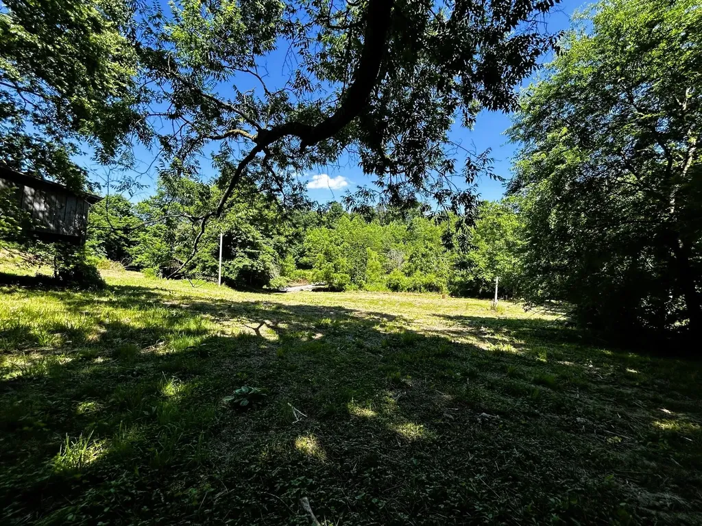 1060 County Road 130 Riceville TN 37370