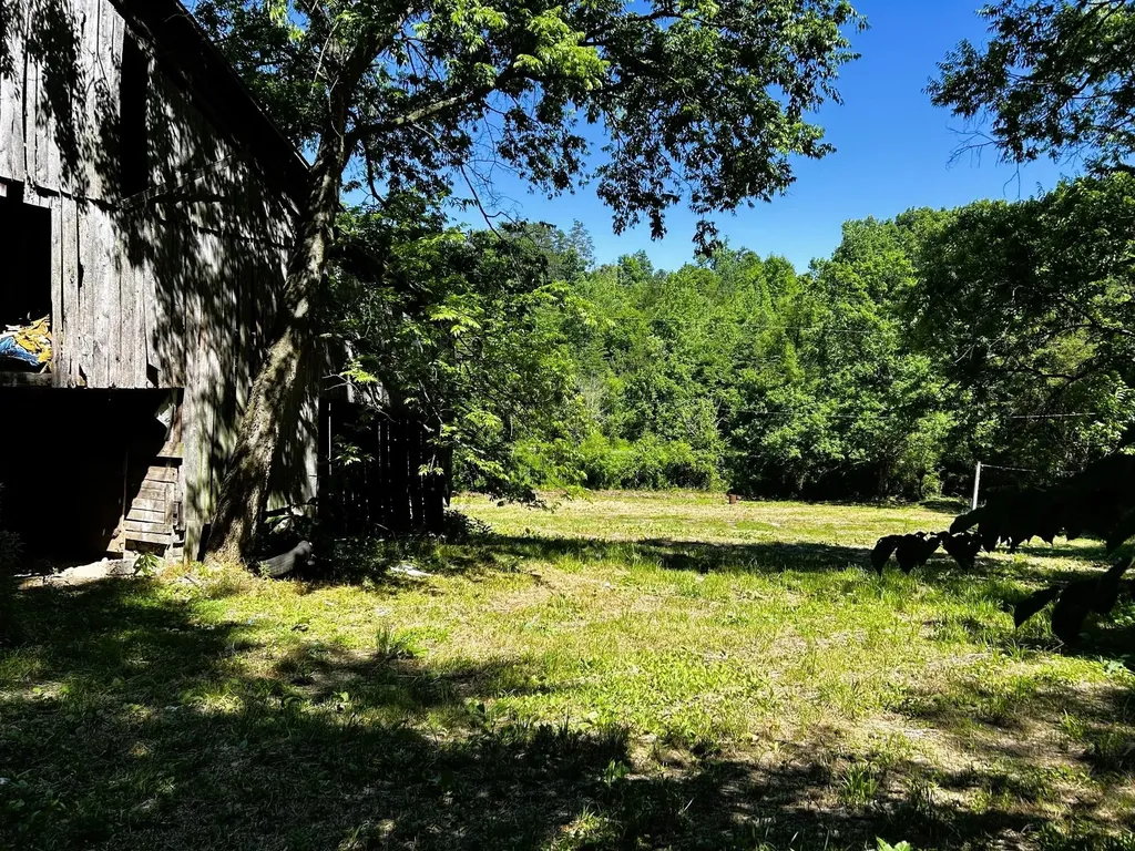 1060 County Road 130 Riceville TN 37370