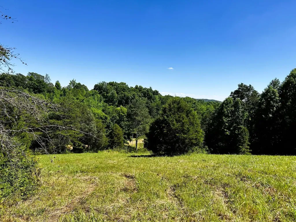 1060 County Road 130 Riceville TN 37370