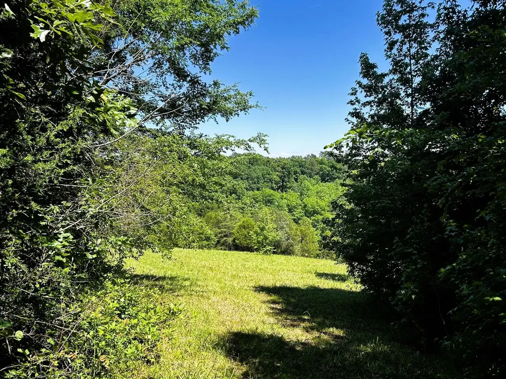 1060 County Road 130 Riceville TN 37370