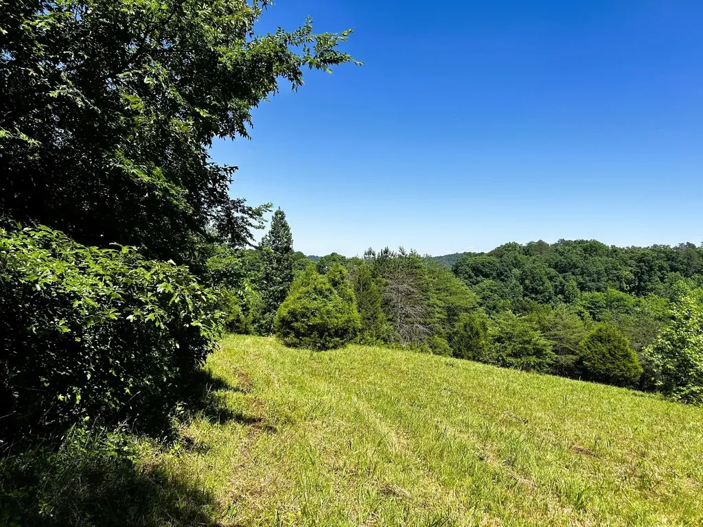 1060 County Road 130 Riceville TN 37370