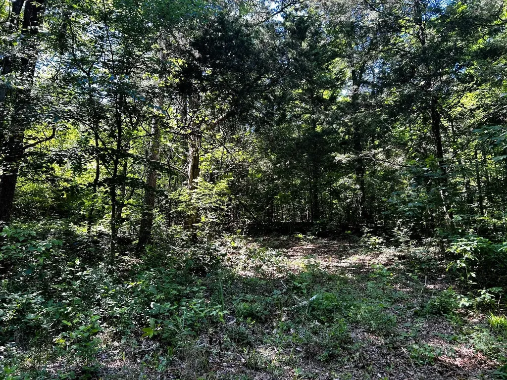 1060 County Road 130 Riceville TN 37370