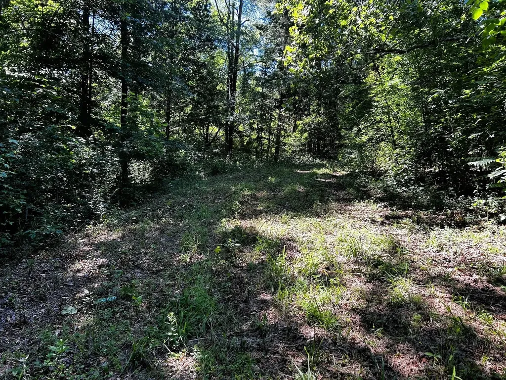 1060 County Road 130 Riceville TN 37370