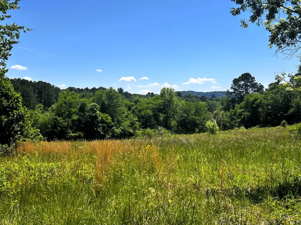 573 S Judd Road Decatur TN 37322