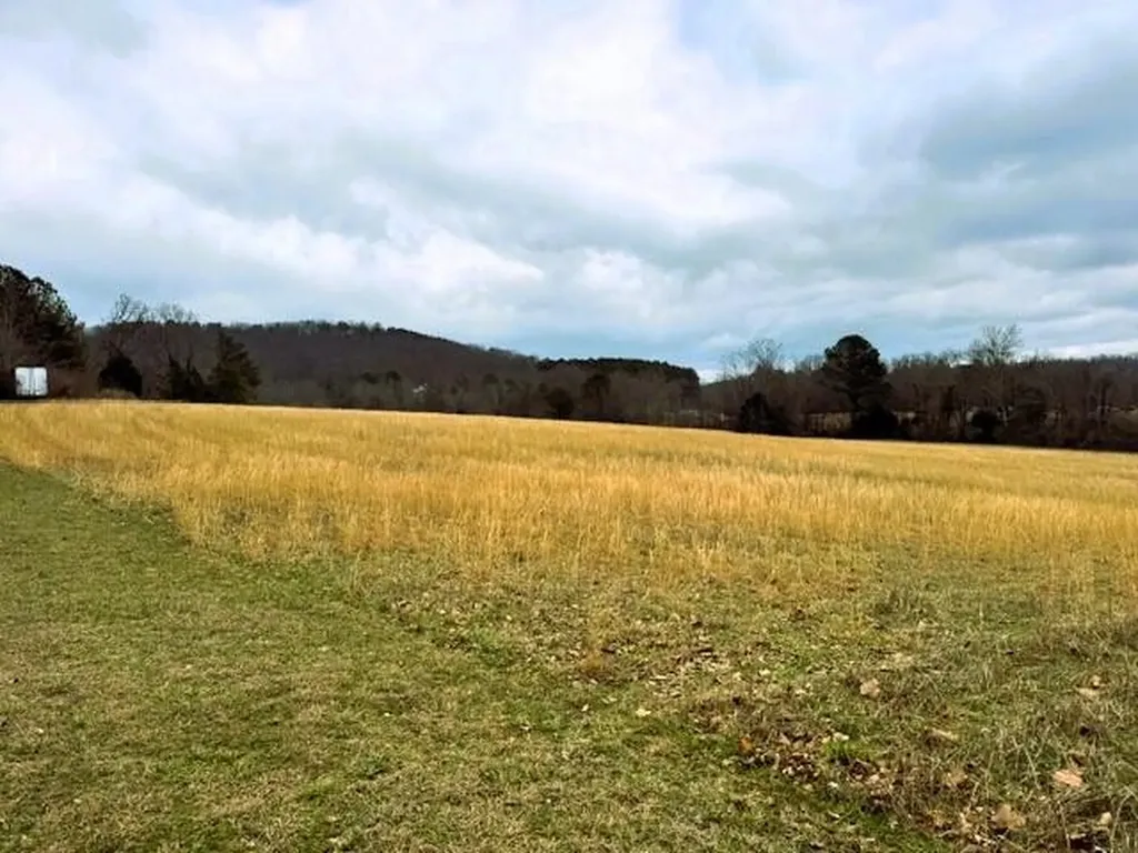 573 S Judd Road Decatur TN 37322