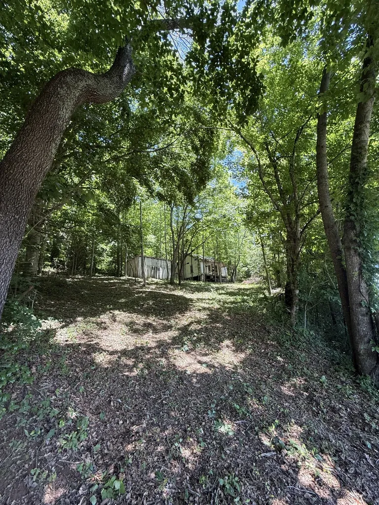 3585 Indian Creek Road Pulaski TN 38478