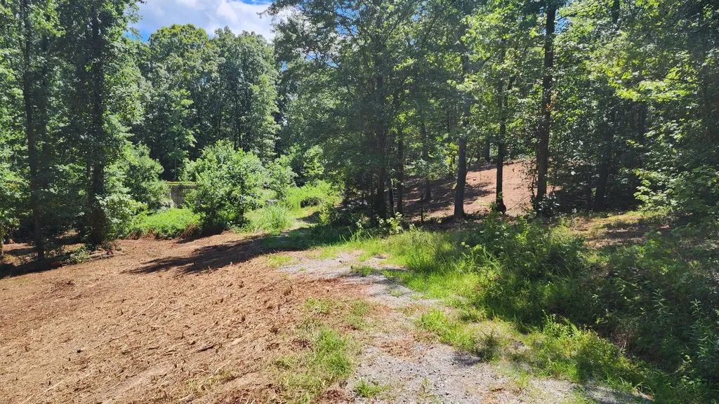 375 Goins Hill Road Ten Mile TN 37880