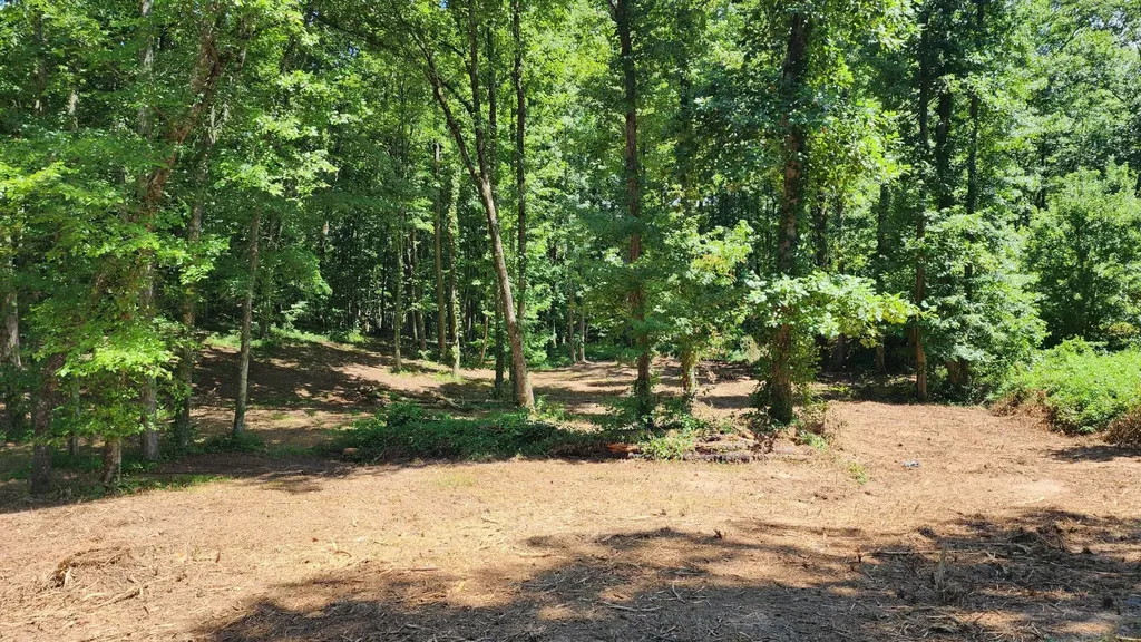 375 Goins Hill Road Ten Mile TN 37880