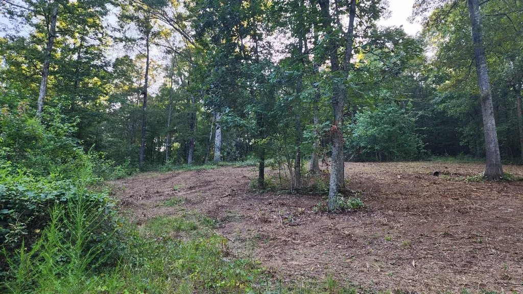 375 Goins Hill Road Ten Mile TN 37880