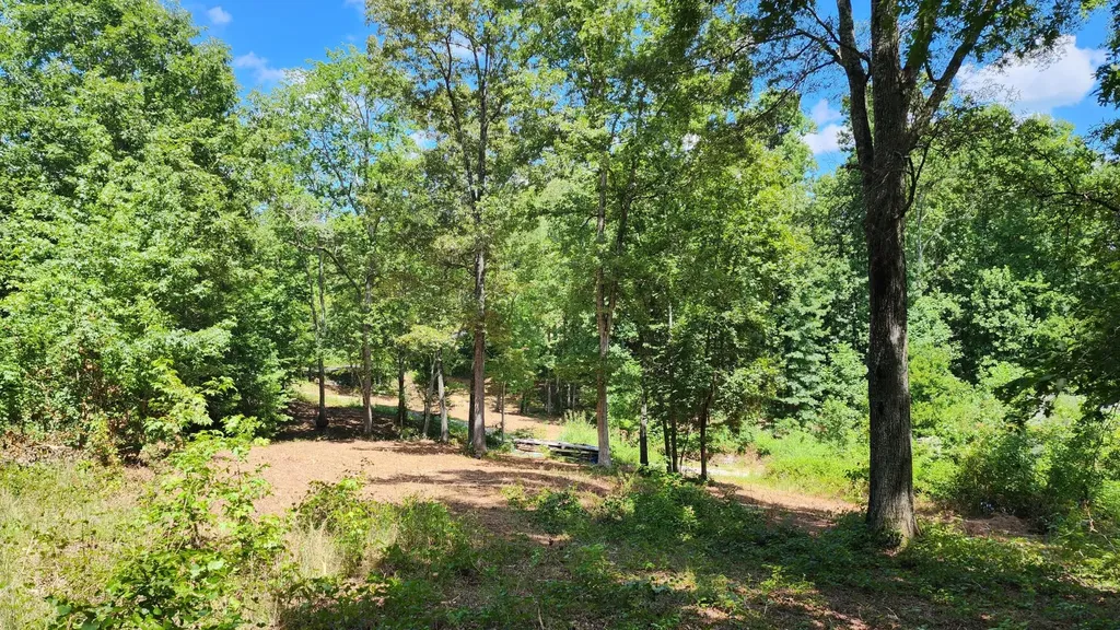 375 Goins Hill Road Ten Mile TN 37880