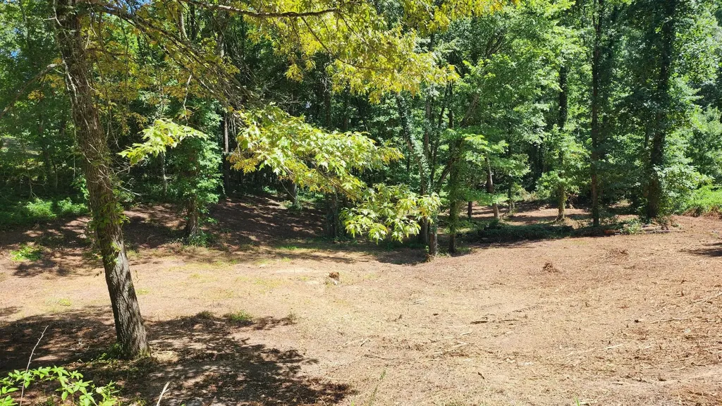 375 Goins Hill Road Ten Mile TN 37880