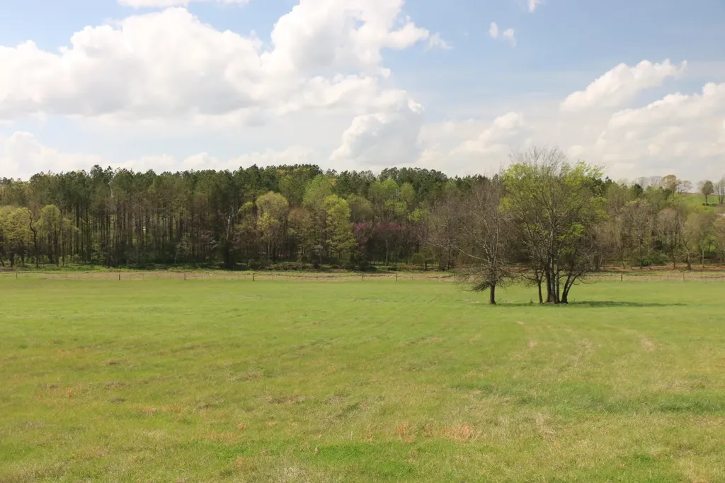 1095 County Road 461 Englewood TN 37329