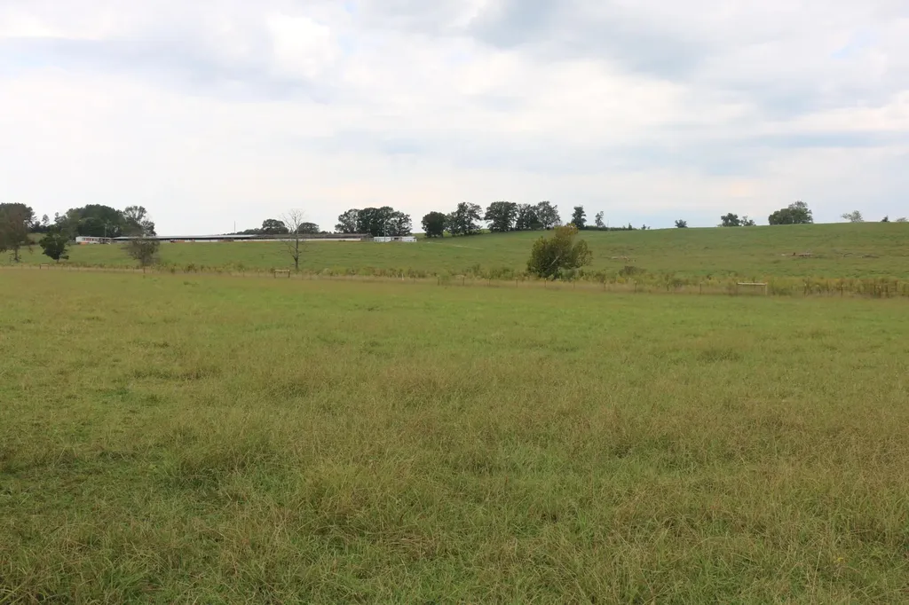 1163 County Road 461 Englewood TN 37329