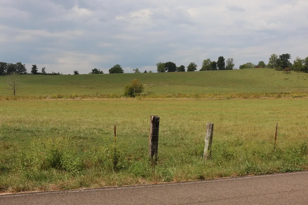 1163 County Road 461 Englewood TN 37329
