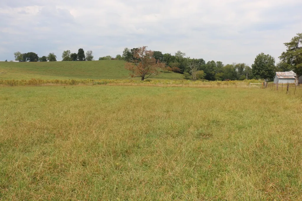 1163 County Road 461 Englewood TN 37329