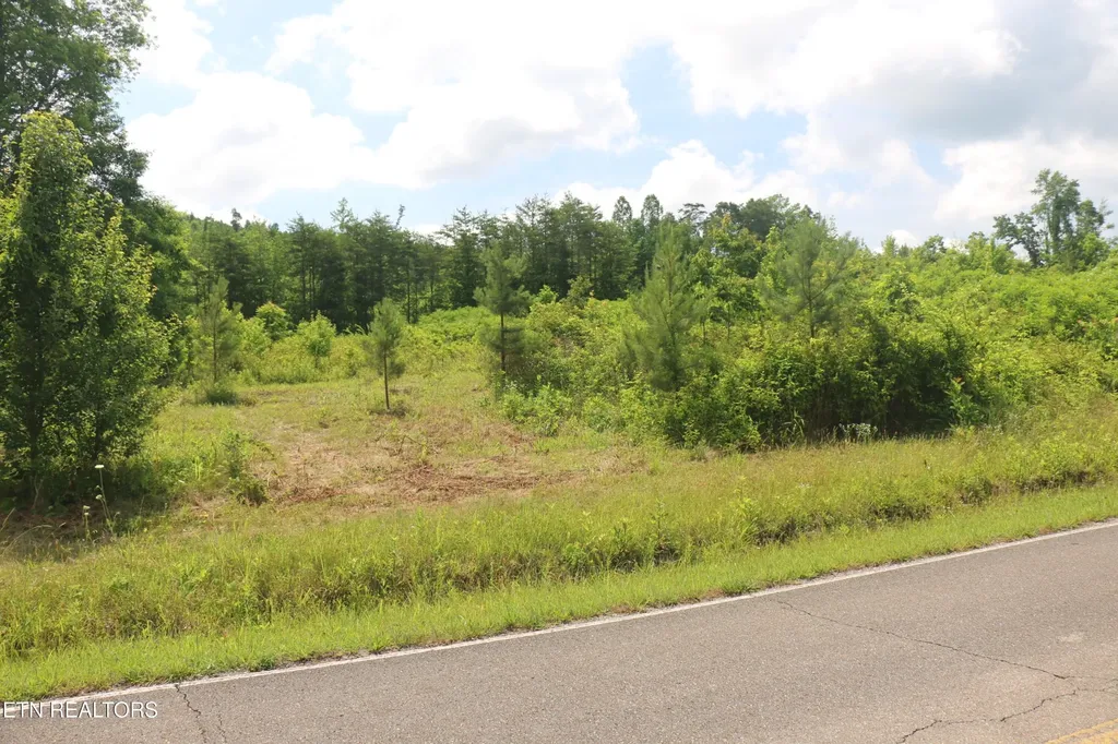 2 N Nopone Valley Road Decatur TN 37322