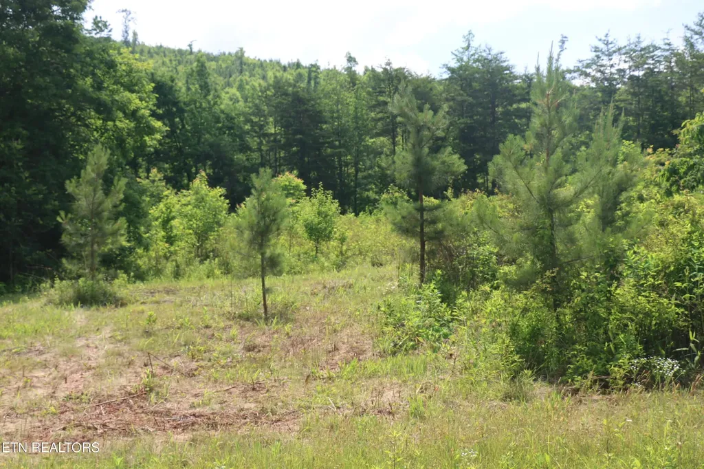 2 N Nopone Valley Road Decatur TN 37322