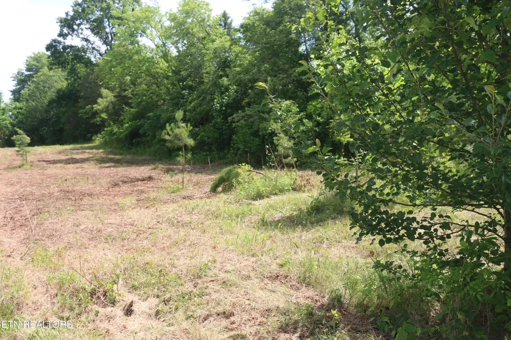 2 N Nopone Valley Road Decatur TN 37322
