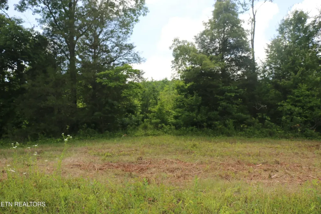 1 N Nopone Valley Road Decatur TN 37322
