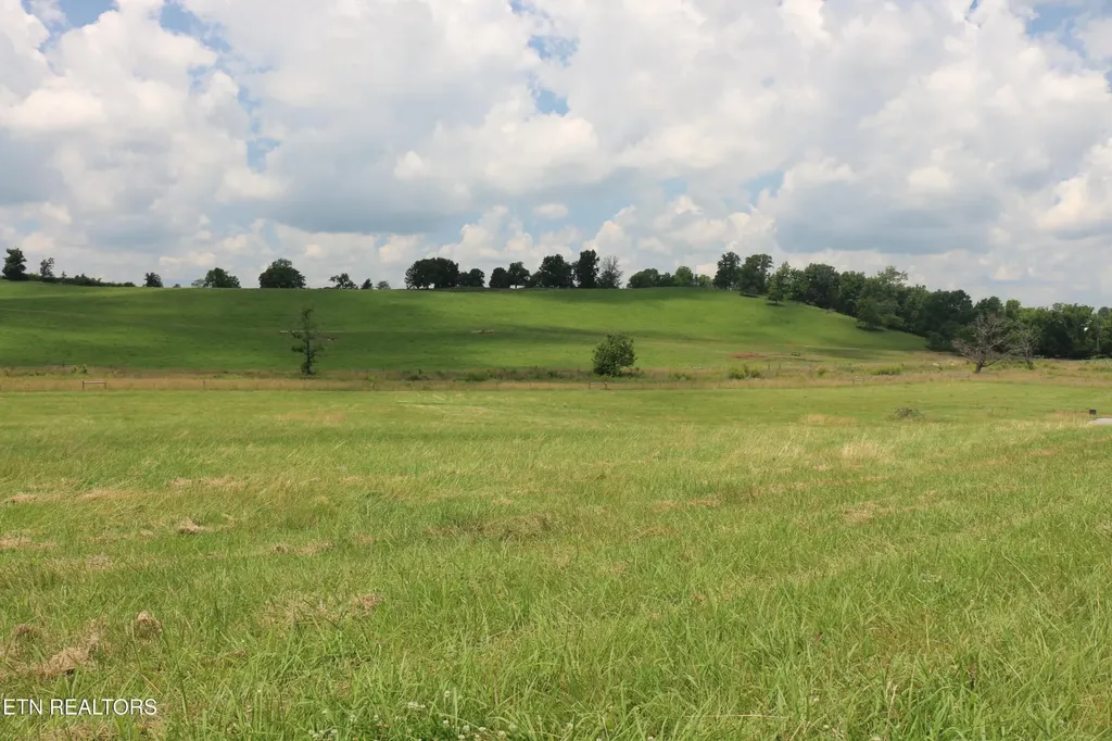 4 County Road 461 Englewood TN 37329