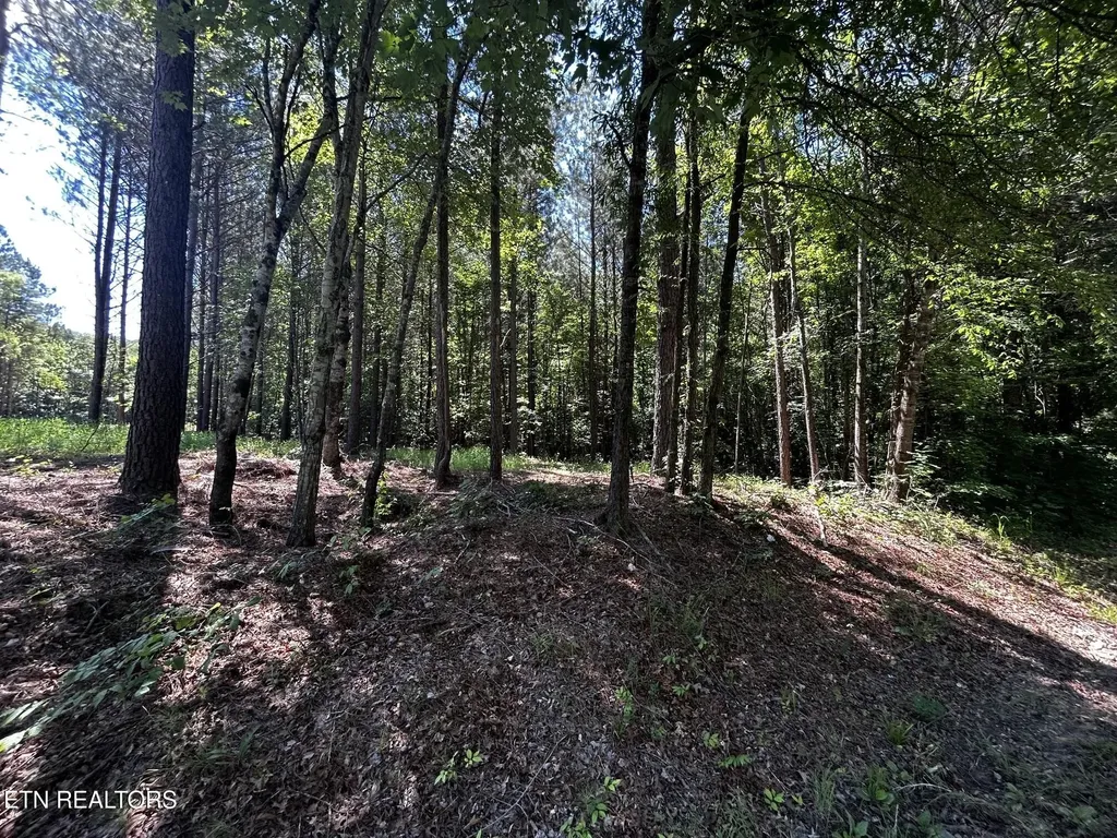 34 State Highway 304 Ten Mile TN 37880