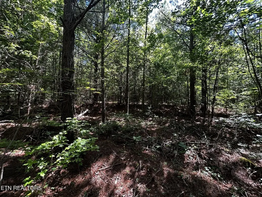 34 State Highway 304 Ten Mile TN 37880