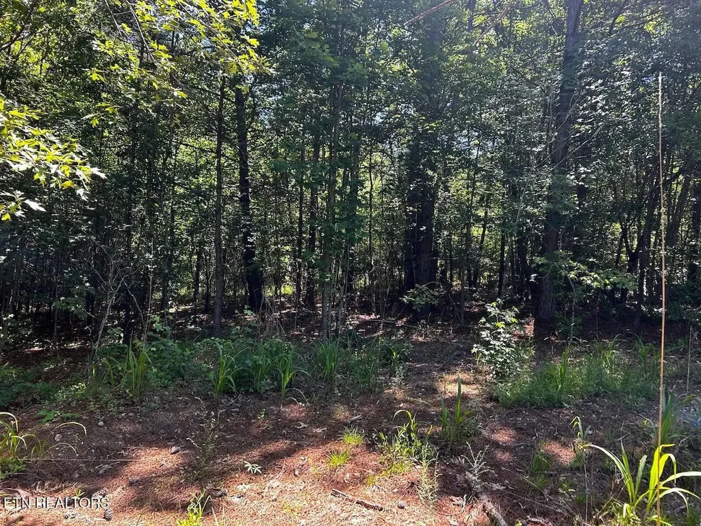 34 State Highway 304 Ten Mile TN 37880