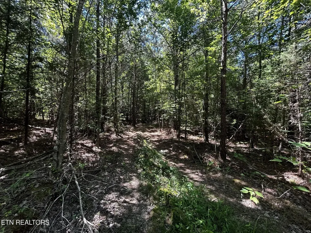 34 State Highway 304 Ten Mile TN 37880