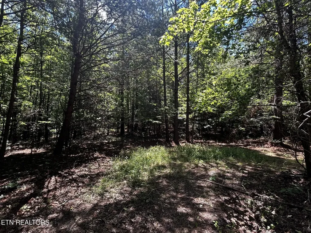 34 State Highway 304 Ten Mile TN 37880