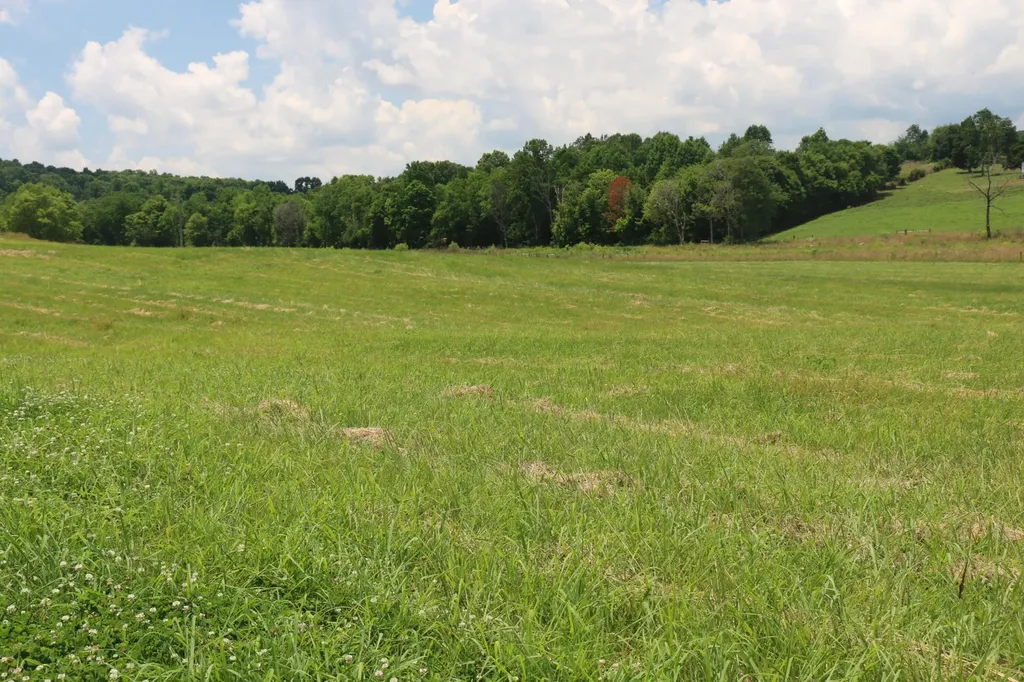 4 County Road 461 Englewood TN 37329