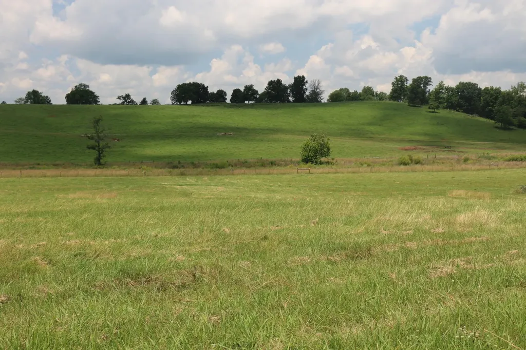4 County Road 461 Englewood TN 37329
