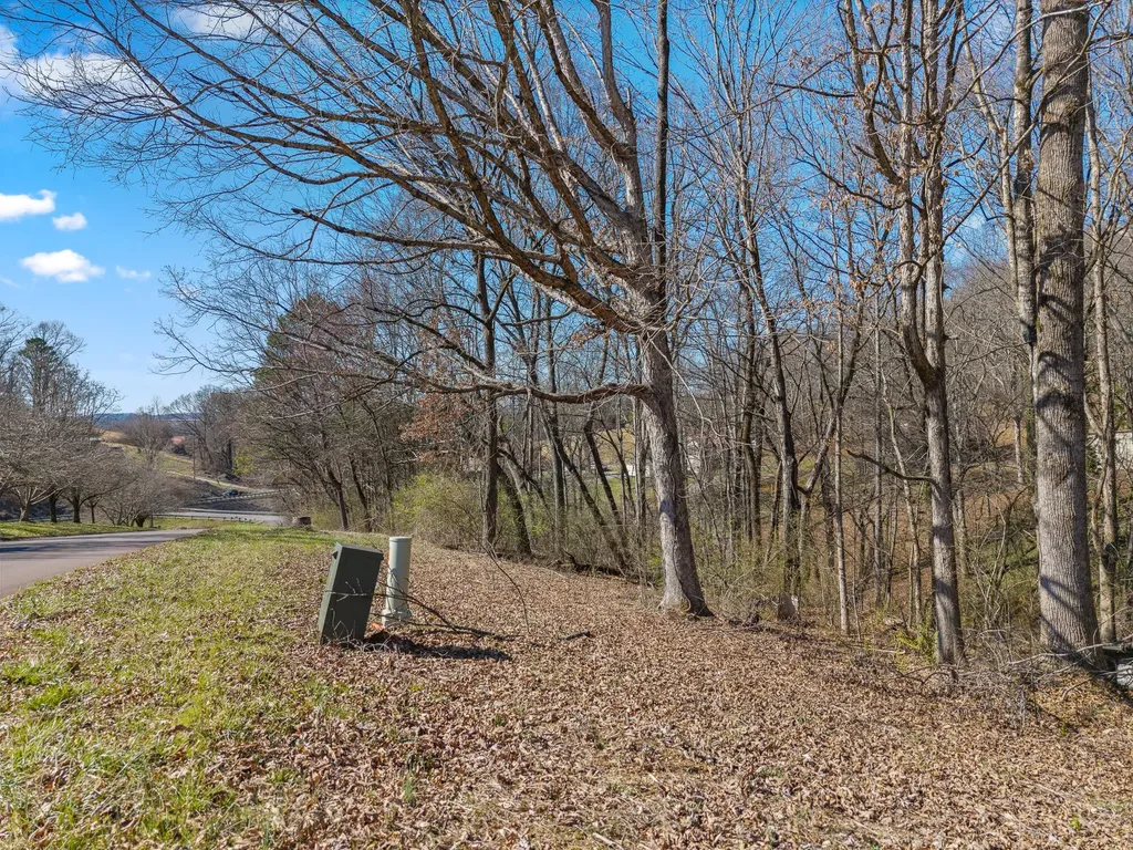 12 County Road 321 Niota TN 37826